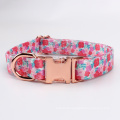 Best quality print design dog collars